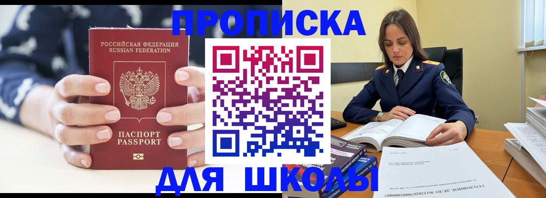 прописка поиск в Березниках